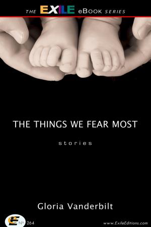Cover of the book The Things We Fear Most by Linda Rogers