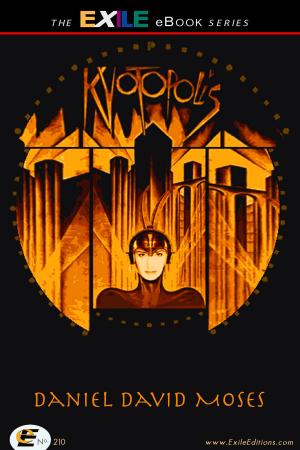 Cover of the book Kyotopolis by Stephen Zeifman