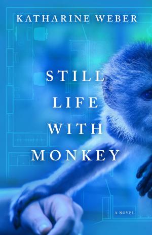 Book cover of Still Life with Monkey