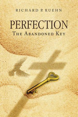 Cover of the book Perfection by Vidal Galter