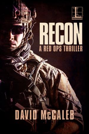 bigCover of the book Recon by 