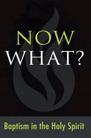 Book cover of Now What? Baptism in the Holy Spirit