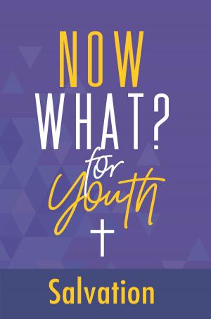Book cover of Now What? for Youth Salvation