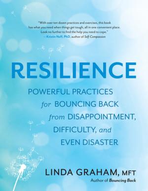 Cover of the book Resilience by Sidra Stone, PhD