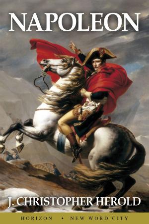Cover of the book Napoleon by Christian Blanchet, Bertrand Dard
