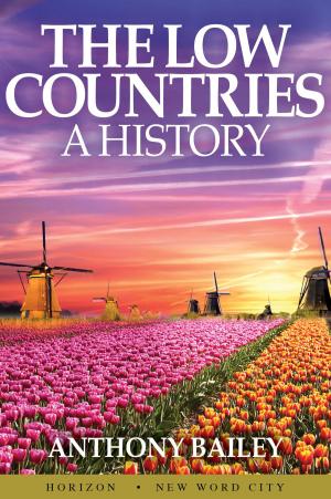 Cover of the book The Low Countries: A History by Christopher M. Byron