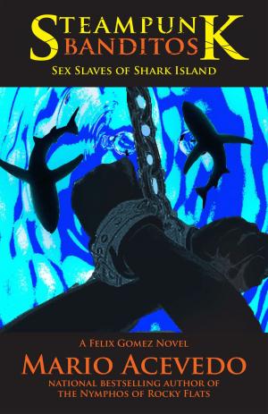 Cover of the book Steampunk Banditos by T. Duren Jones