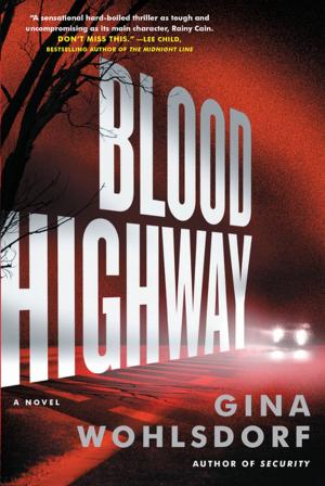 Cover of the book Blood Highway by Elizabeth J. Church