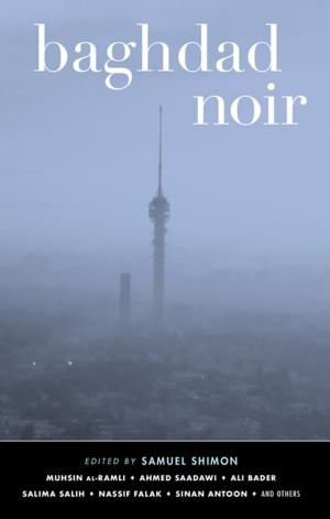 Cover of the book Baghdad Noir by Nina Revoyr
