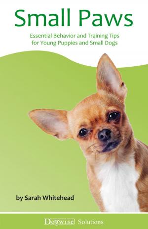 Cover of the book Small Paws by James O'Heare