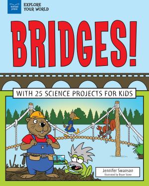 Cover of the book Bridges! by Maxine Anderson