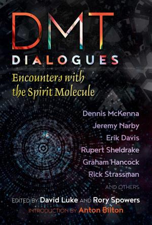Cover of the book DMT Dialogues by Dr. Richard Louis Miller