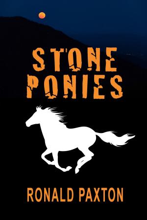 Cover of the book Stone Ponies by John Reinhard Dizon