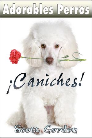 Book cover of Adorables Perros ¡Los Caniches!