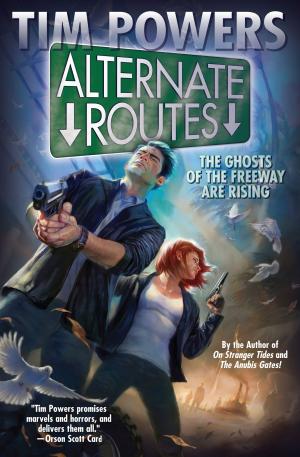 Cover of the book Alternate Routes by Karen Amanda Hooper