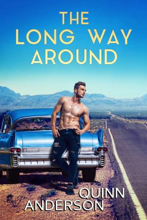 Cover of the book The Long Way Around by Erik Scott de Bie