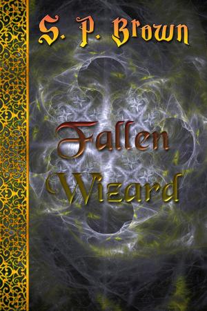 Cover of the book Fallen Wizard by Pinkie Paranya