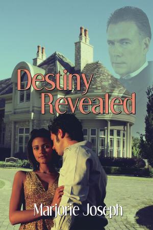 Cover of the book Destiny Revealed by Jacob Steven Mohr