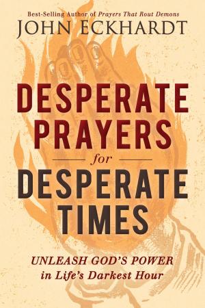 Cover of the book Desperate Prayers for Desperate Times by Jentezen Franklin