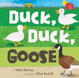 bigCover of the book Duck, Duck, Goose by 