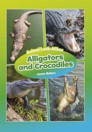 Book cover of Alligators and Crocodiles
