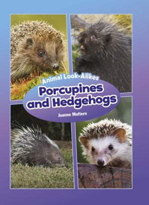 Cover of the book Porcupines and Hedgehogs by Wiley Blevins