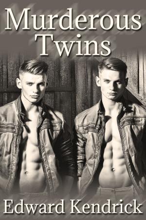 Cover of the book Murderous Twins by Shawn Lane