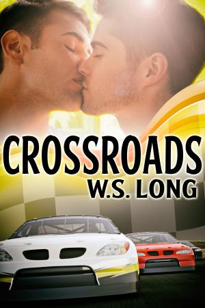 Cover of the book Crossroads by W.S. Long