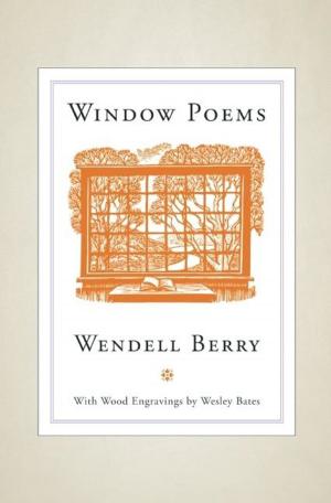 Book cover of Window Poems