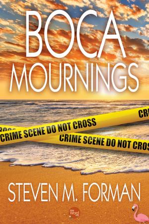 Cover of the book Boca Mournings by David Zax