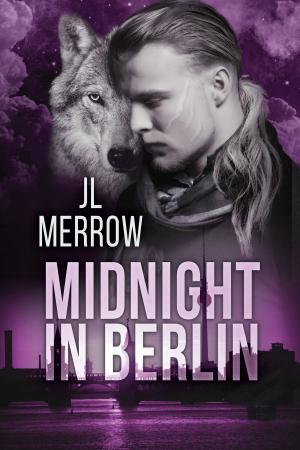 Cover of the book Midnight in Berlin by Andrew Grey