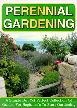 Cover of the book Perennial Gardening: A Simple But Yet Perfect Collection Of Guides For Beginner's To Start Gardening by FLLC Guides