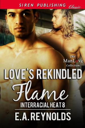 Cover of the book Love's Rekindled Flame by Cara Adams