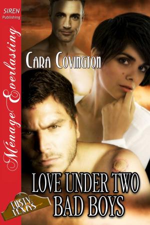Cover of the book Love Under Two Bad Boys by Leah Brooke
