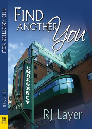 Cover of the book Find Another You by Rebecca Swartz