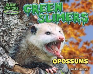 Cover of the book Green Slimers by Dee Phillips