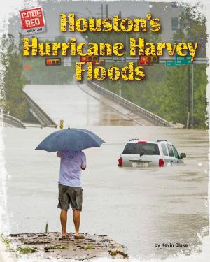 Cover of the book Houston’s Hurricane Harvey Floods by Joyce Markovics