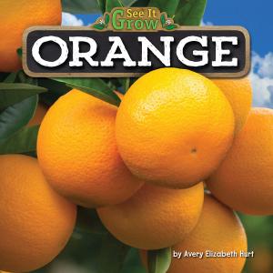 Cover of the book Orange by Manuela Dahinden, Melanie Paschke