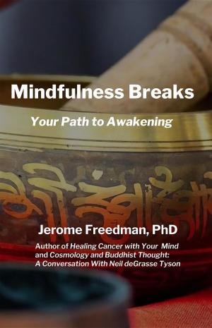 Cover of the book Mindfulness Breaks by J Vishnu Vardhan