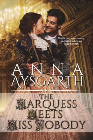 Cover of the book The Marquess Meets Miss Nobody by Jaden Sinclair