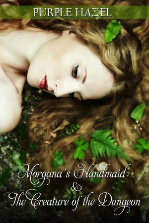 Cover of the book Morgana's Handmaid and the Creature of the Dungeon by Christy Poff