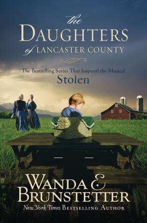 Book cover of The Daughters of Lancaster County