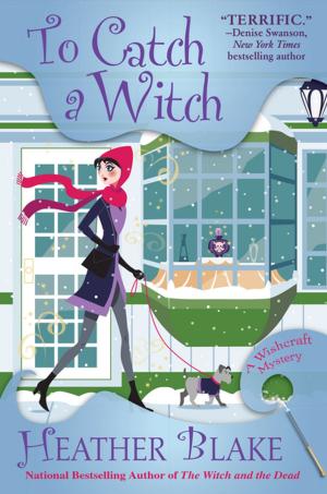 Cover of the book To Catch a Witch by Jennifer Graeser Dornbush