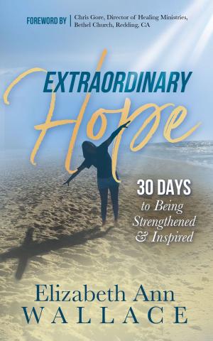 Cover of the book Extraordinary Hope by Rebecca McLaughlin, Rita Palashewski