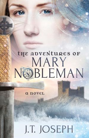 Cover of the book The Adventures of Mary Nobleman by Christine Handy
