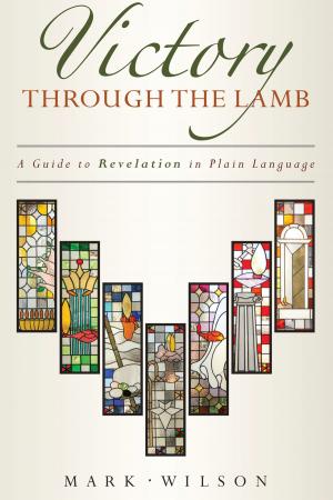 Cover of the book Victory through the Lamb by Kim Riddlebarger