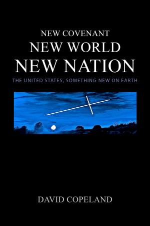 Book cover of New Covenant, New World, New Nation