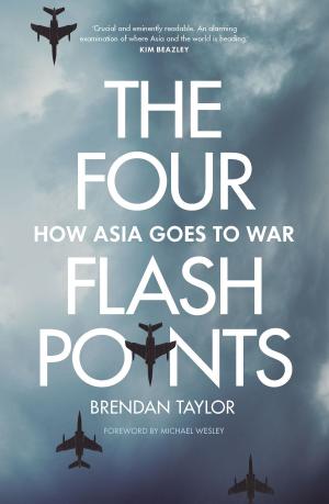 Cover of the book The Four Flashpoints by Amanda Lohrey