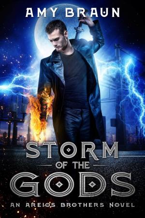 Book cover of Storm of the Gods