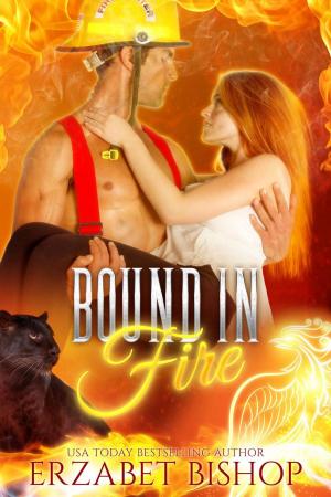 Cover of the book Bound in Fire by Gina Kincade